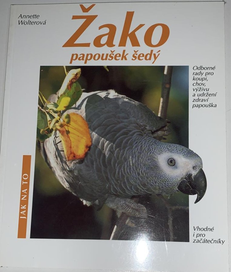 Žako papoušek šedý