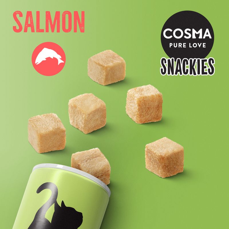 Cosma dried cat snacks salmon 21g