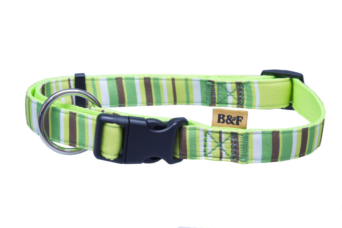 B&F Strap collar, stripes 1.5x30-50cm green