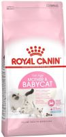 Royal Canin Mother &amp; BabyCat 10kg