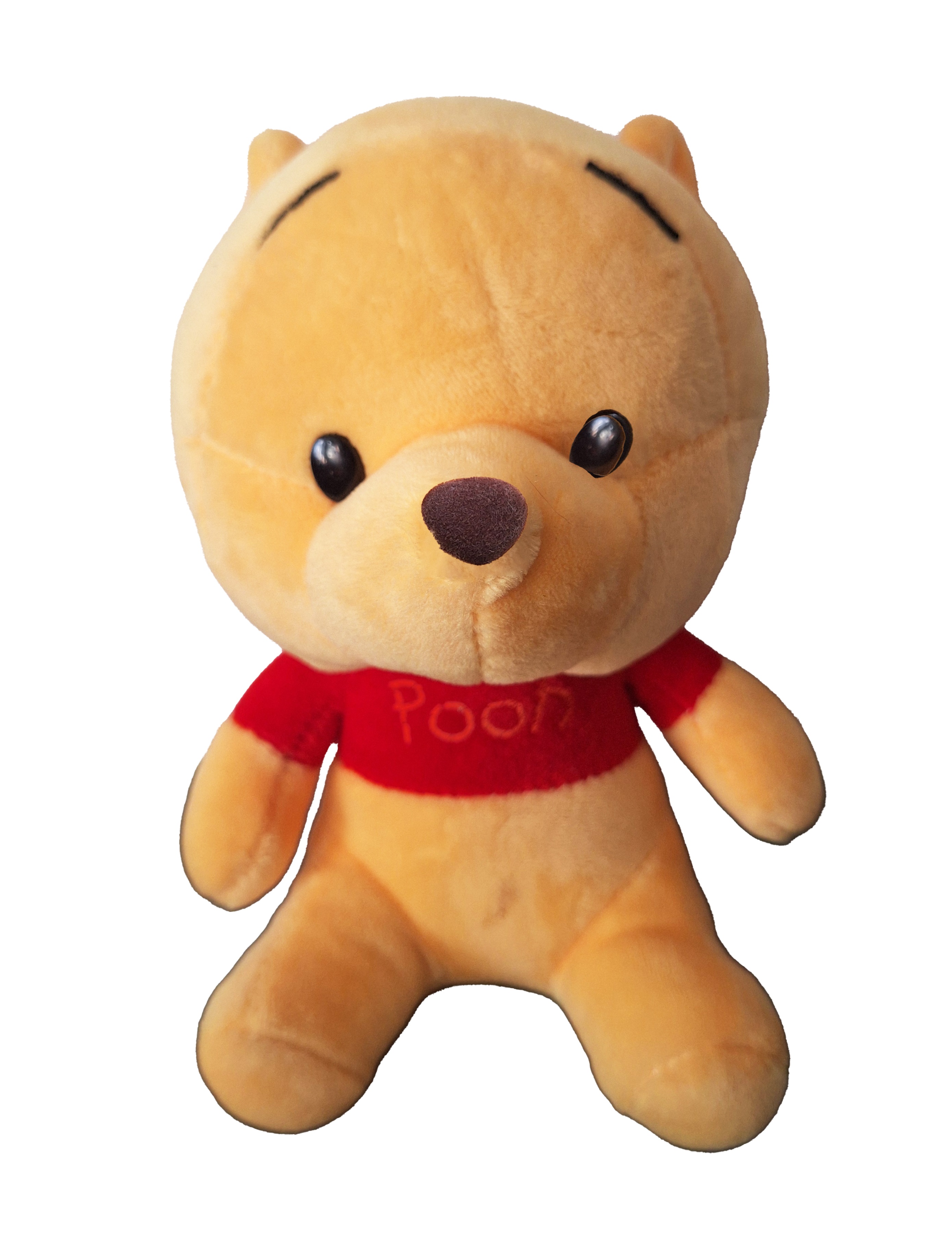 Plush Winnie the Pooh