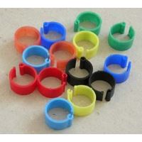 Poultry ring 12mm