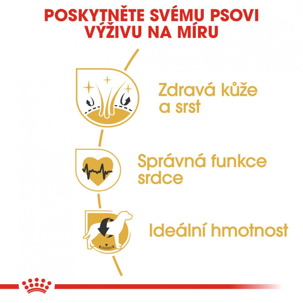 Royal Canin Zlatý retrívr Adult 12kg (4)