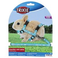 Trixie harness on rabbit