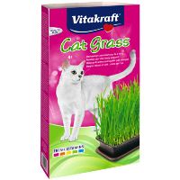Vitakraft grass for cats in a bowl 120g