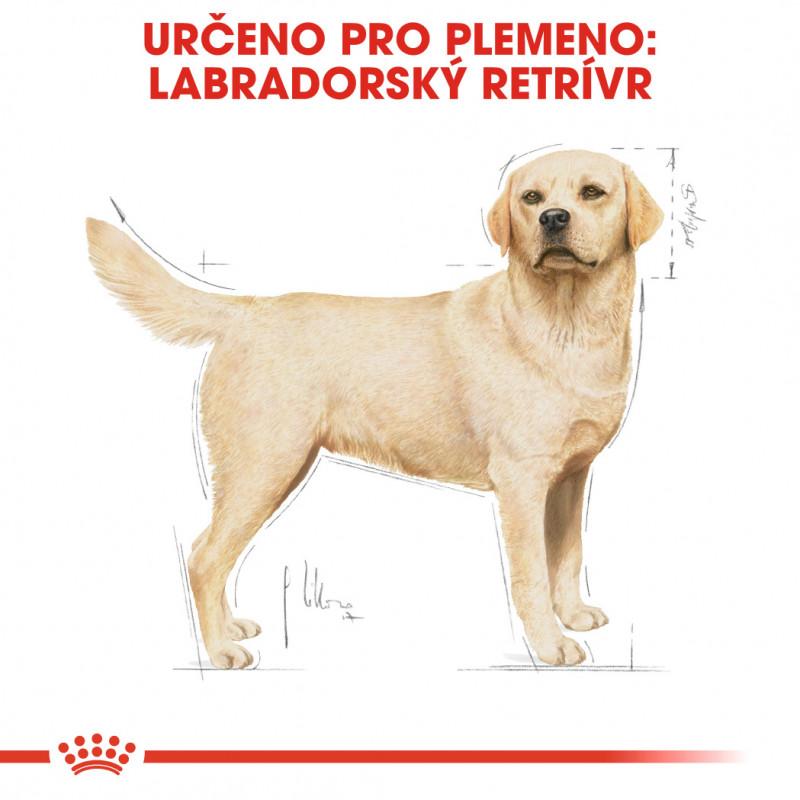 Royal Canin Labrador retrívr Adult 12kg