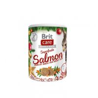 Brit Care Cat Christmas Superfruits 100g