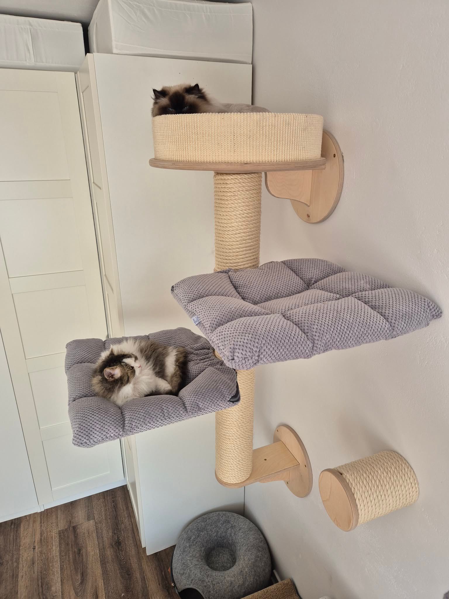 Rajen coffee table and cat scratcher A20, color B02 (2)