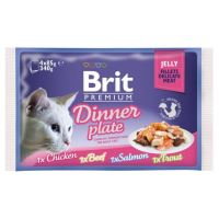 Brit Premium Cat Delicate Fillets in Jelly Dinner Plate 4 x 85g