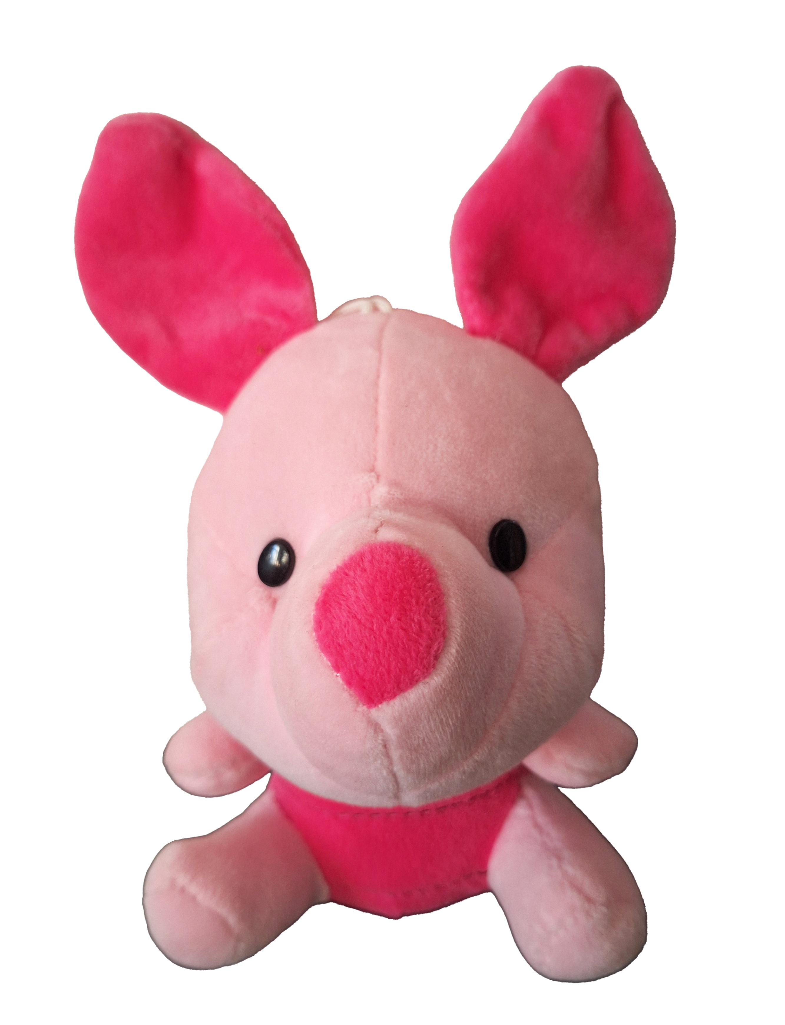 Plush Winnie the Pooh