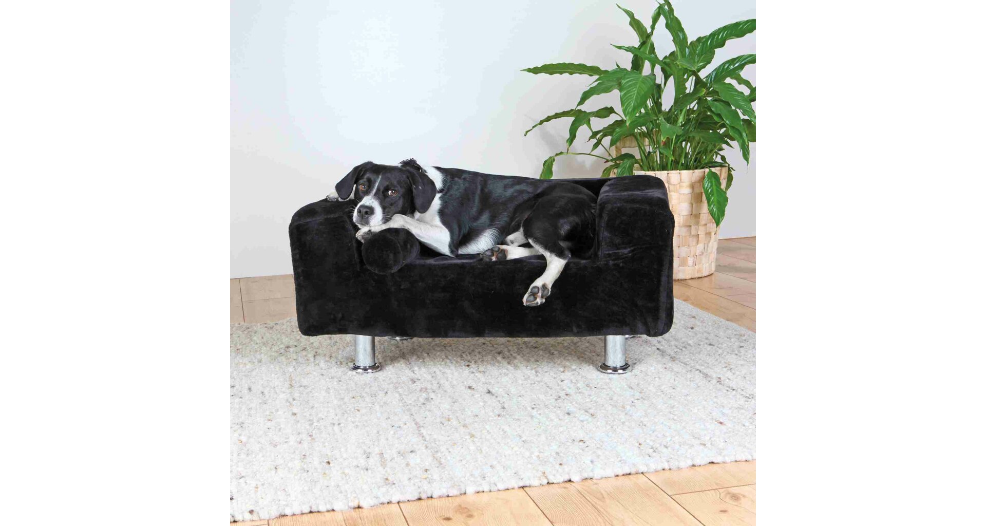 Trixie Sofa KING OF DOGS 78x55cm