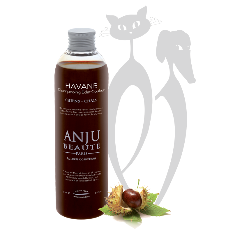 Anju Beauté Havane Shampoo for brown and tan coats