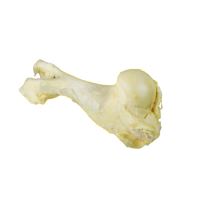 Blowed bone