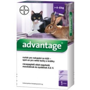 Advantage 80 10% 1x0,8ml pro kočky nad 4kg