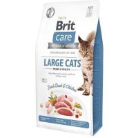 Brit Care cat Large cats Power&amp; Vitality, Grain-Free 7kg