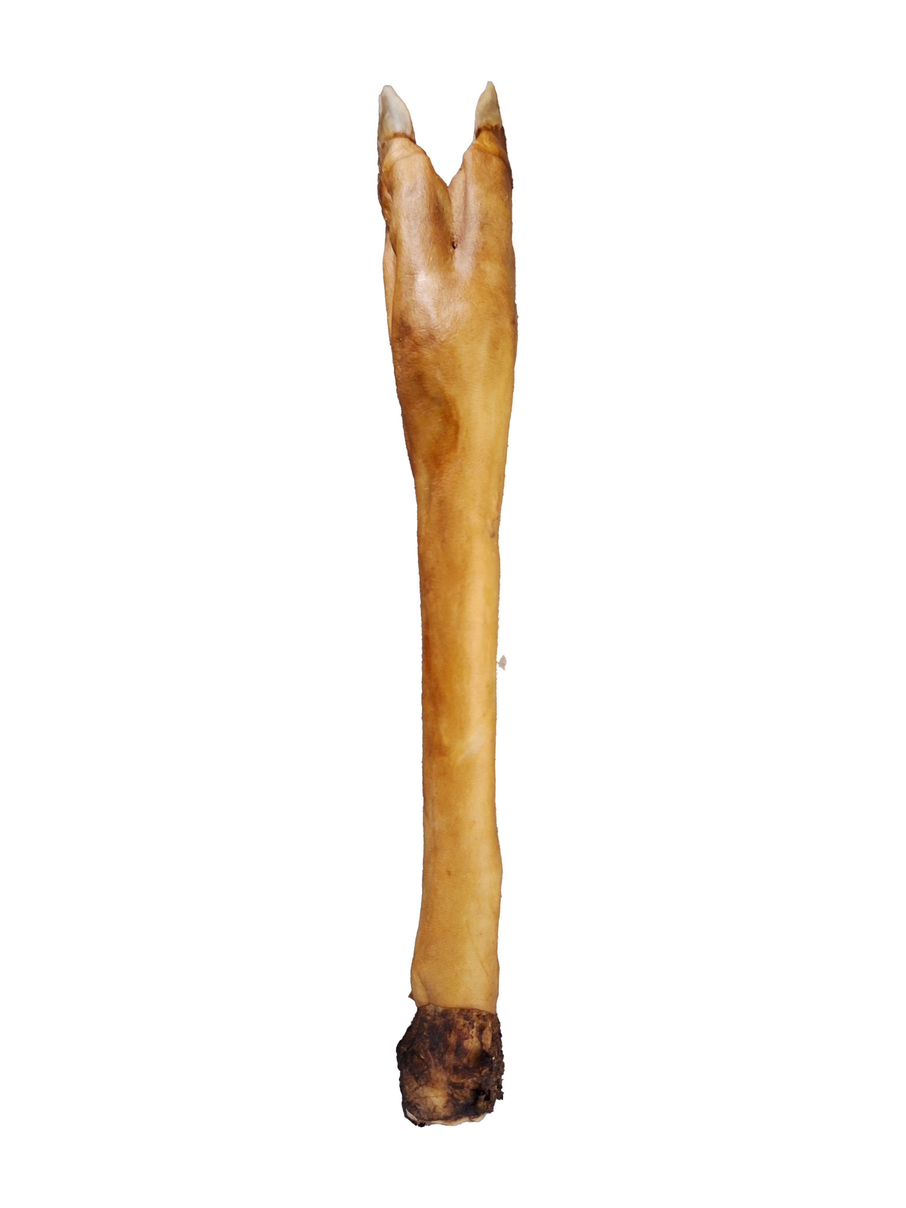 Pork leg, approx. 22cm