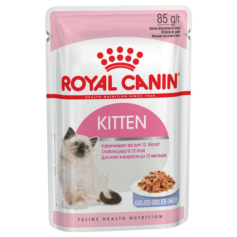 Royal Canin Instinctive Kitten v želé kapsička 12x85g