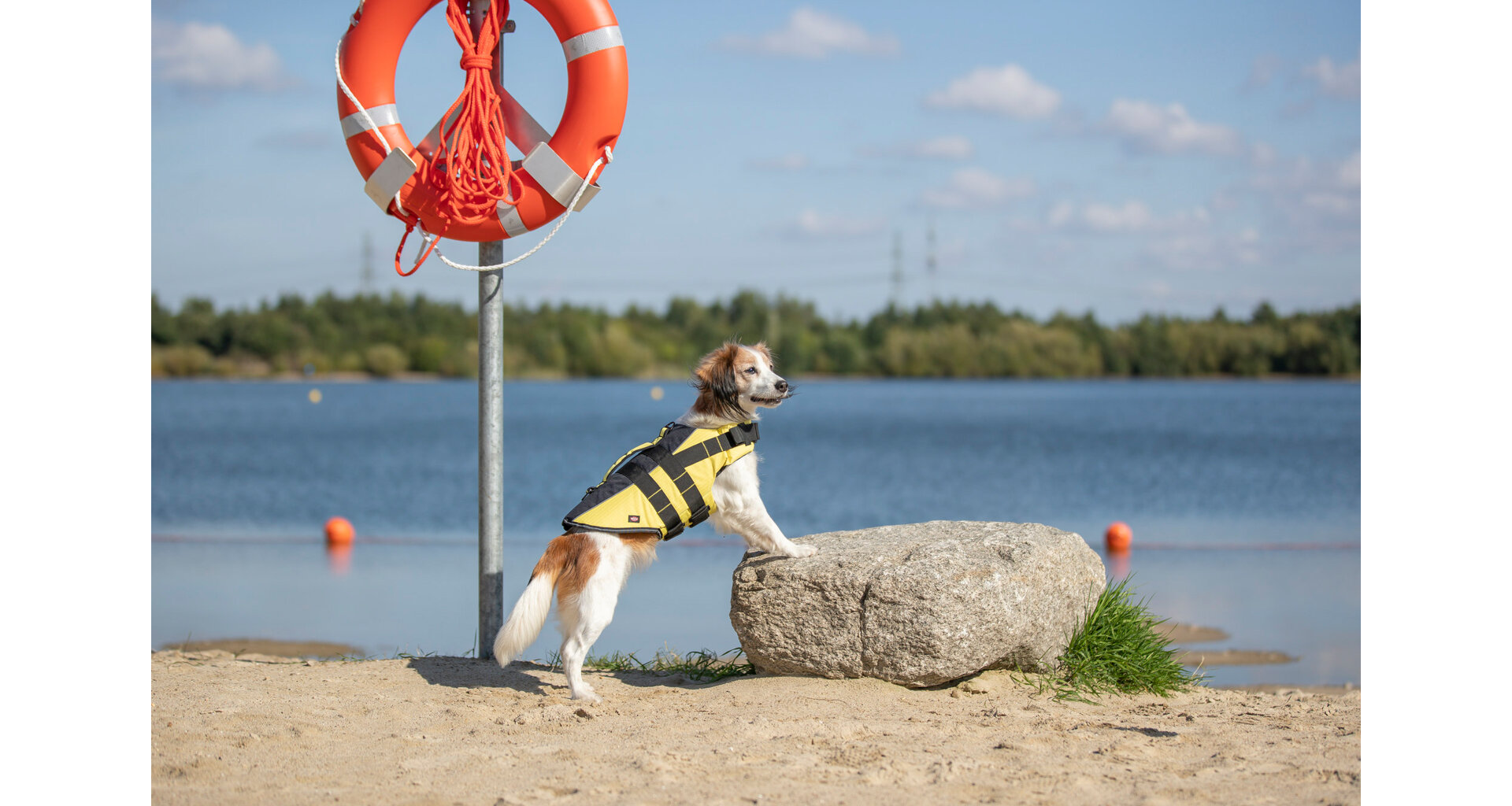 Trixe Life Vest plovací vesta pro psa M 45cm, 45-72 cm, do 30kg žluto/černá (1)