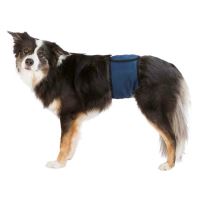 Břišní pás na podložky pro psa samce S 29-37cm tmavě modrý
