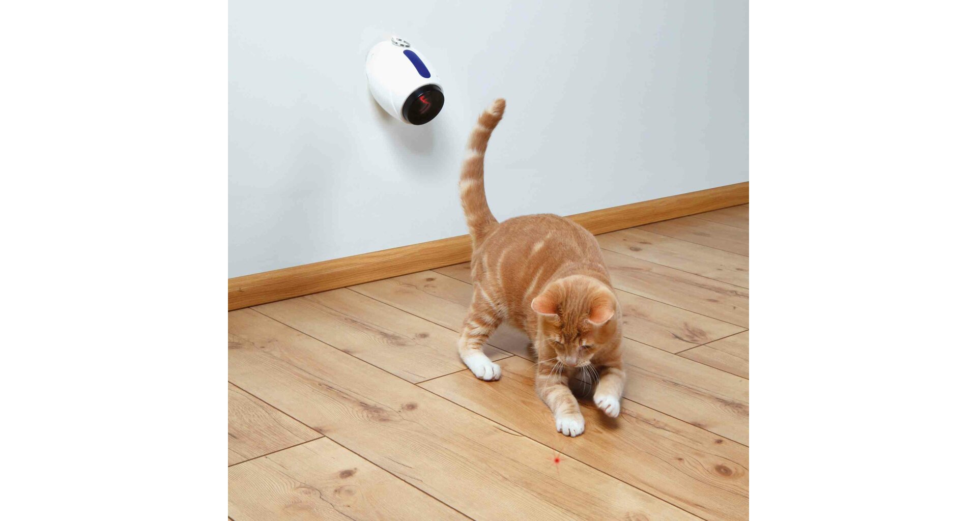 Trixie Laser toy for cats 11cm, white / blue