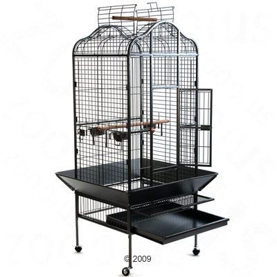 Lucy cage for parrots