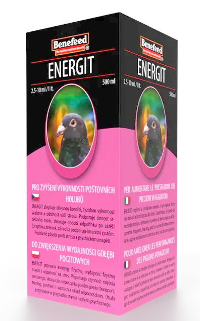 ENERGIT holub 500ml