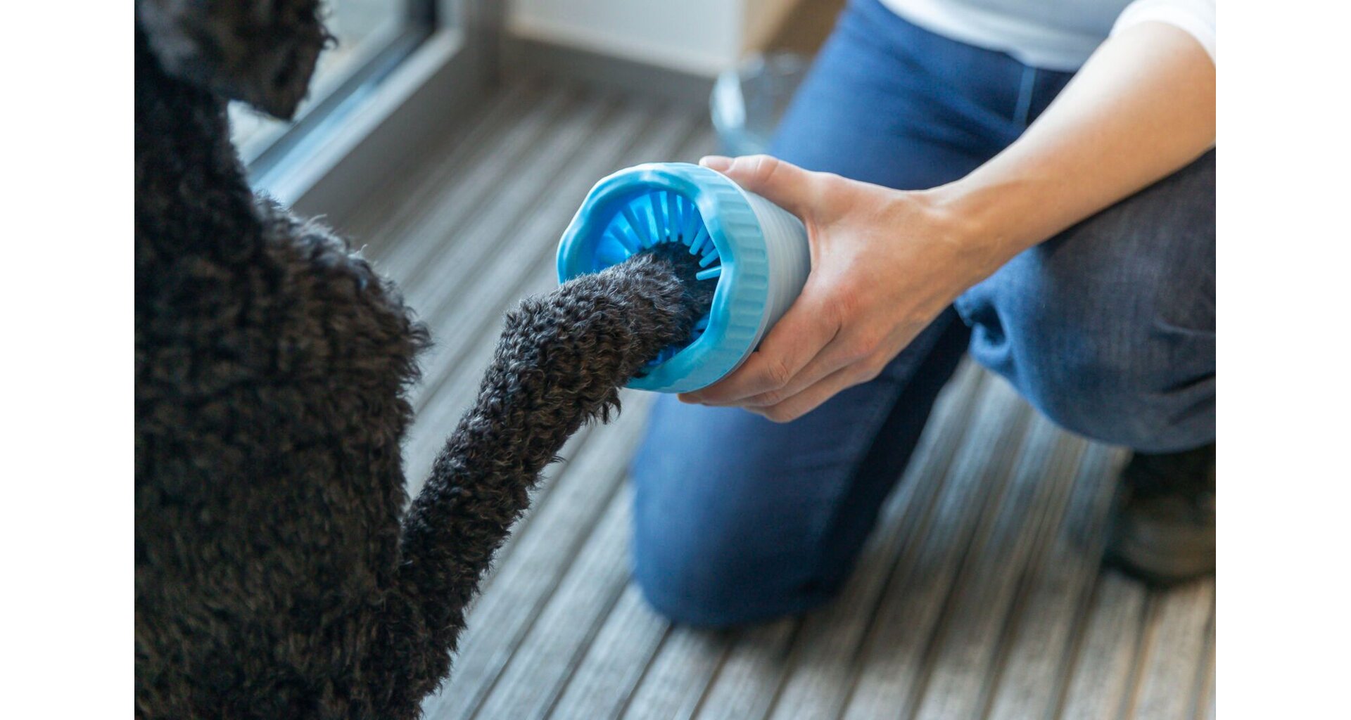 PAW CLEANER - kalíšek k čištění tlapek, silikon/plast, modrá M-L (2)