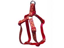 Strappy paws PAWS 1.5x32-46cm red