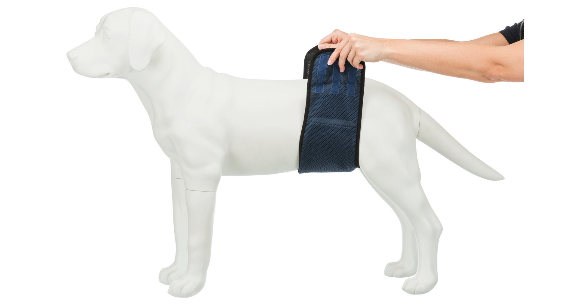 Belly belt for mats for male dogs L 55-65 cm dark blue
