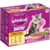 Whiskas Junior poultry selection in jelly 12x85g