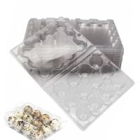 Coaster 5pcs