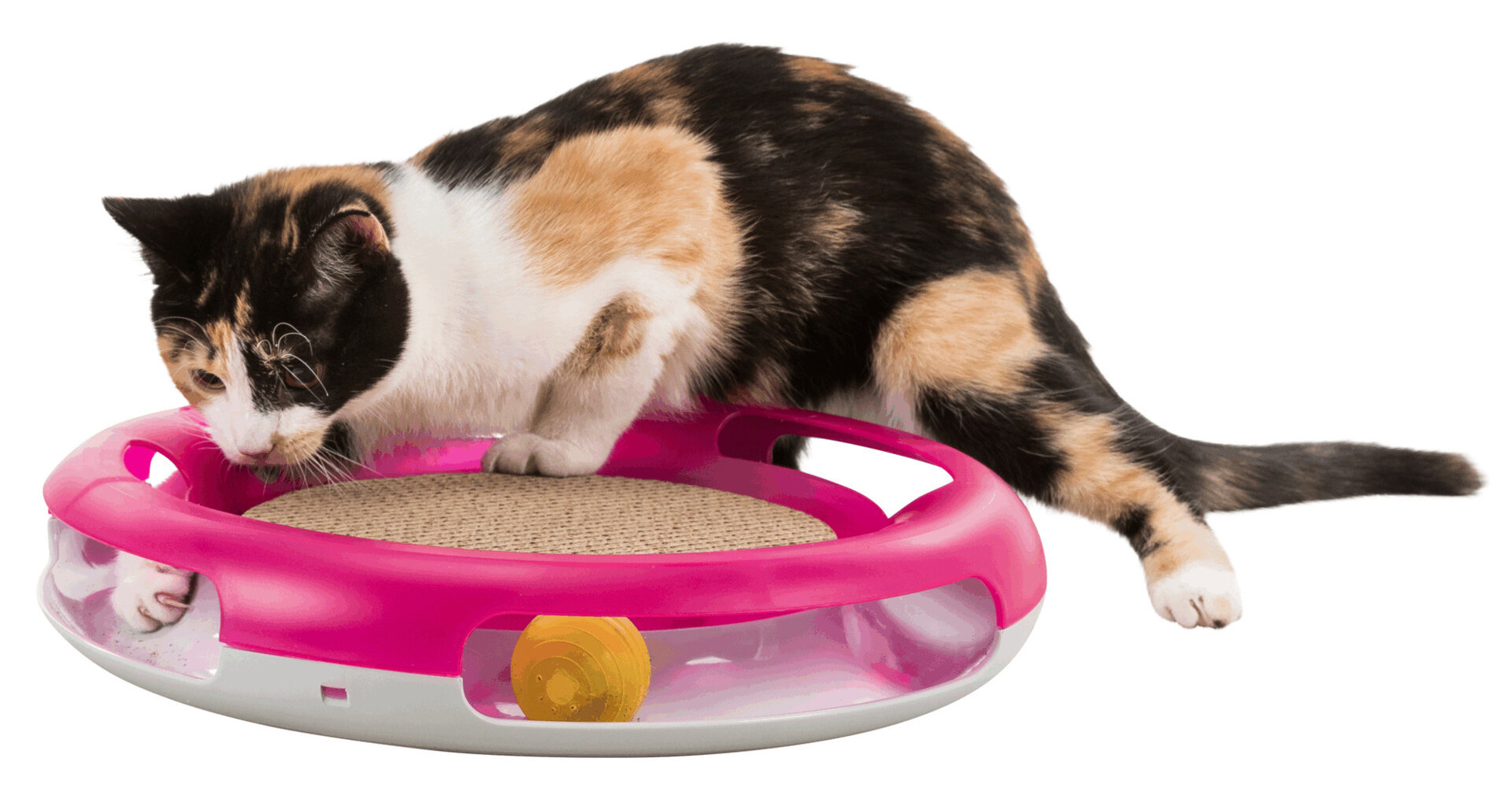 Cat toy circle with a ball and scratching cardboard 37cm