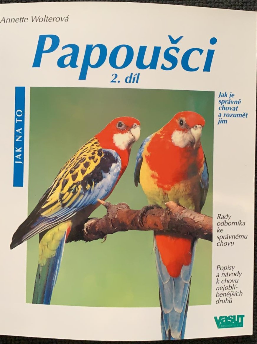 Parrots 2nd part