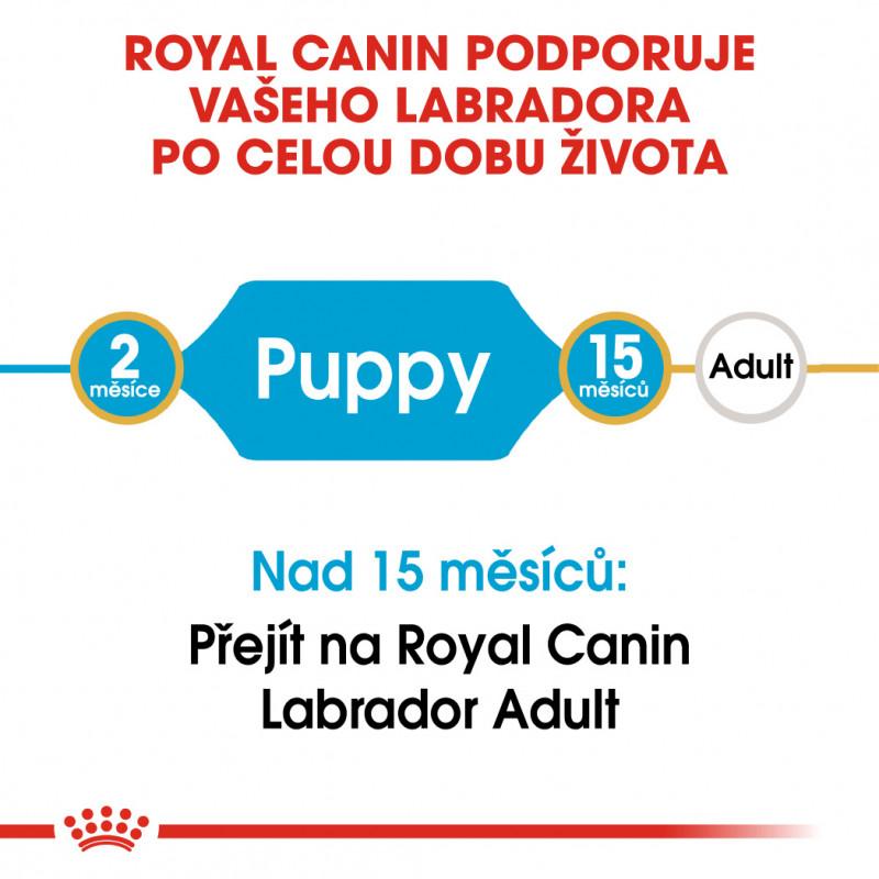 Royal Canin Labrador retrívr Puppy 12kg
