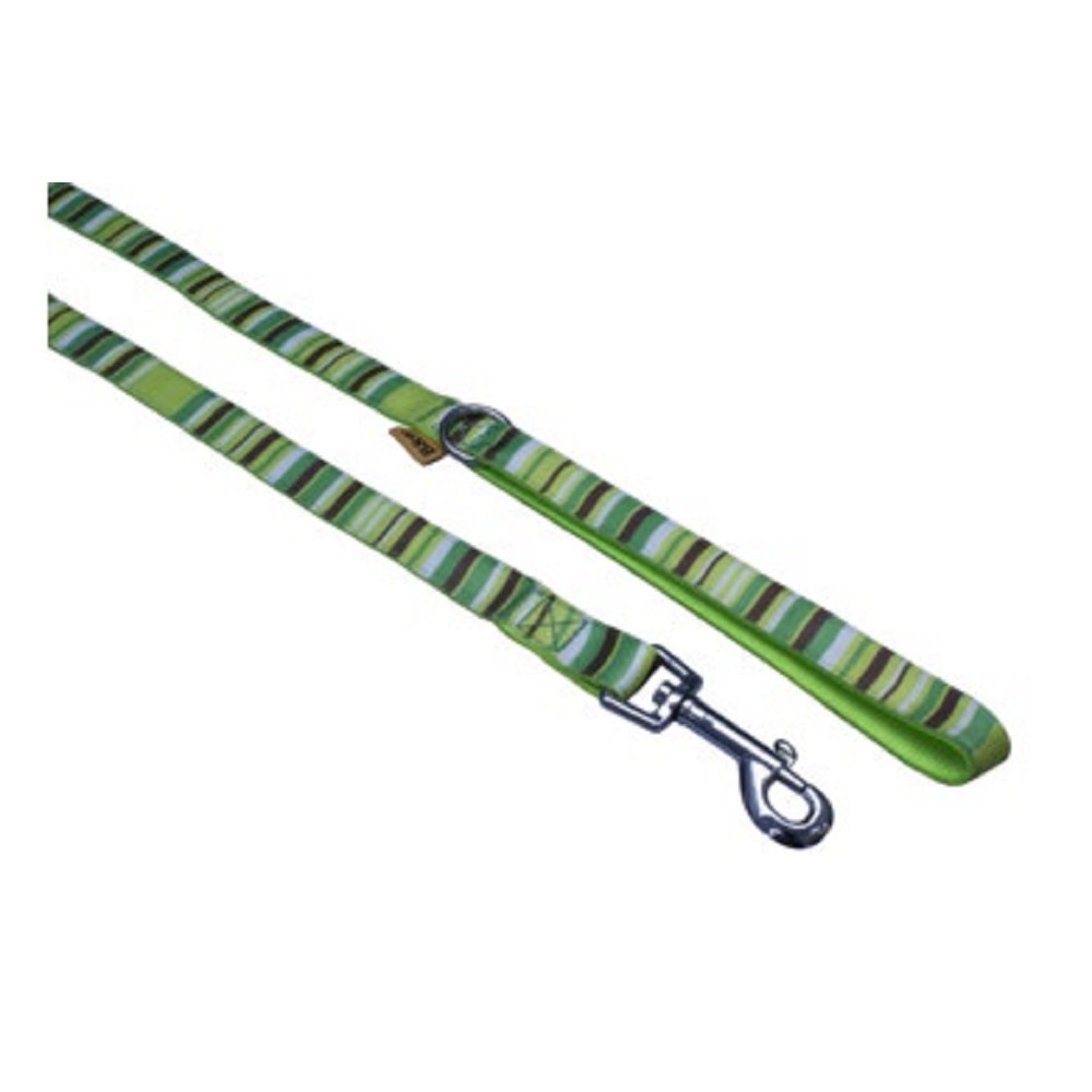B&F Strap leash, stripes 1,5x150cm green