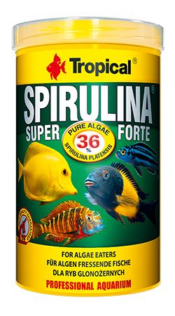 Vločky pro ryby s velkým (36%) obsahem řas Spirulina platensis. Určené pro africké vrubozubce a další ryby, které vyžadují ve své stravě vysoký podíl složek rostlinného původu. 250ml.