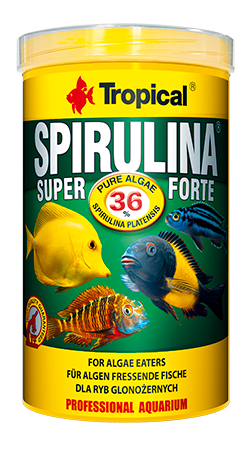 Vločky pro ryby s velkým (36%) obsahem řas Spirulina platensis. Určené pro africké vrubozubce a další ryby, které vyžadují ve své stravě vysoký podíl složek rostlinného původu. 250ml.