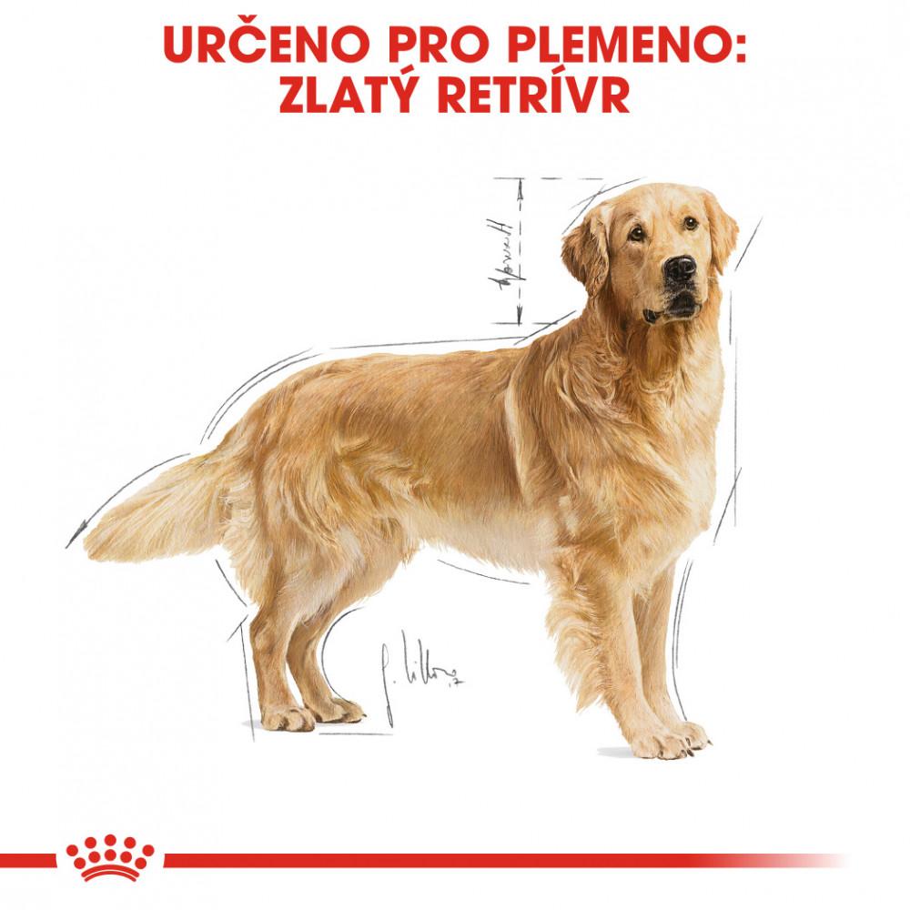 Royal Canin Zlatý retrívr Adult 12kg (5)