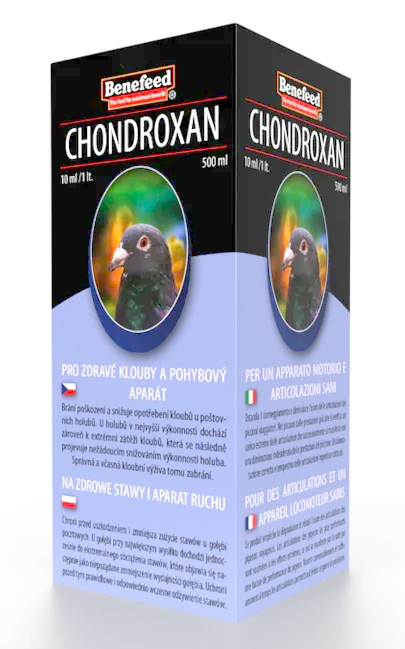 CHONDROXAN holub 500ml