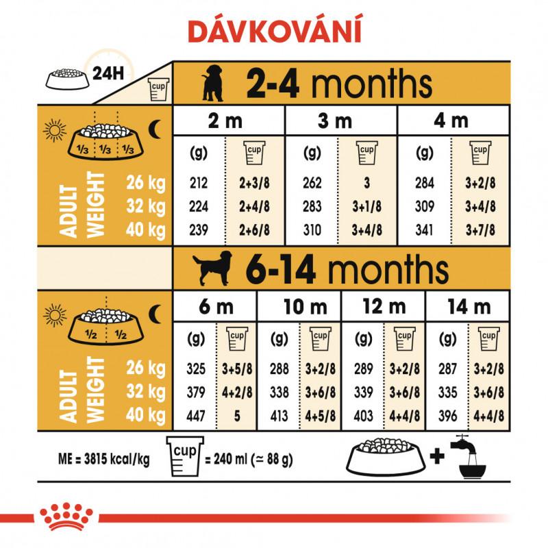 Royal Canin Labrador retrívr Puppy 12kg (2)