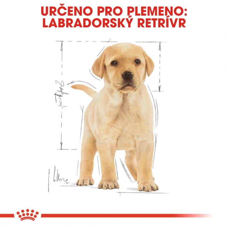 Royal Canin Labrador retrívr Puppy 12kg (5)