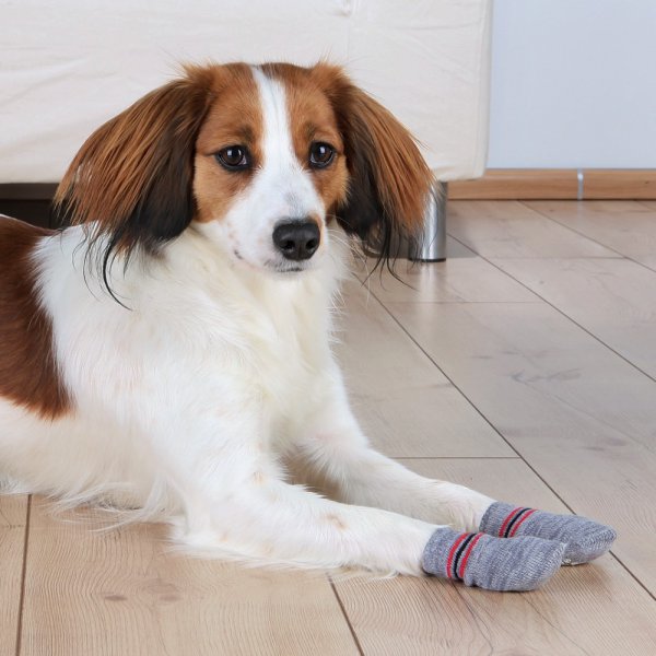 Anti-slip gray socks, 2 pcs for dogs XXS-XS (Yorkshire)