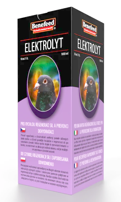 ELEKTROLYT holub 1000ml